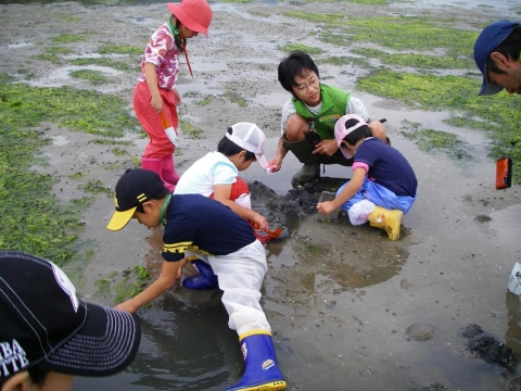 ③干潟の生き物観察IMGP0385a0