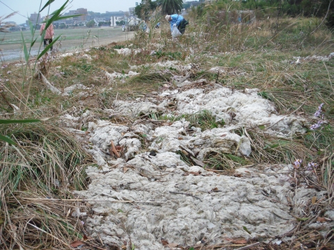 2012_1029JT 画像0021