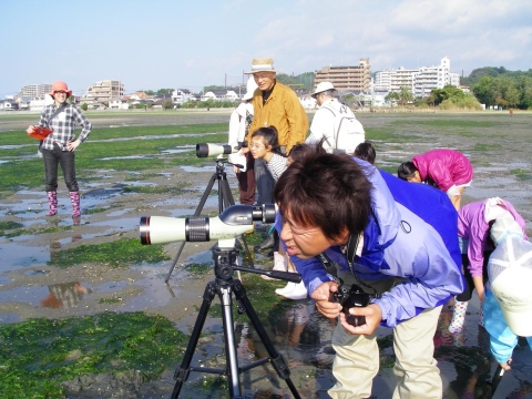 ④干潟でバードウオッチングIMGP0406