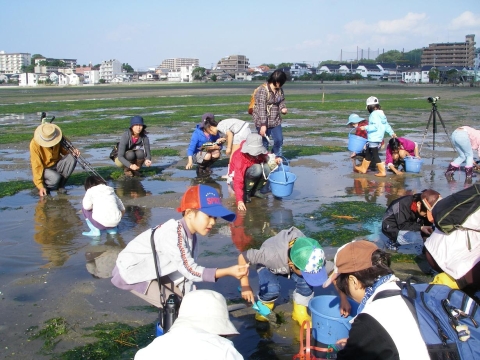 ③干潟の生き物観察IMGP0401