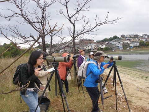 探鳥会のようす