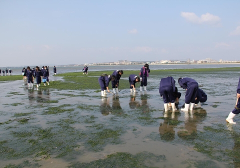 ③干潟の生き物観察2IMG_0077a11L
