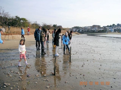 干潟観察1