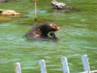 IMG_6623_convert_20120505204219.jpg