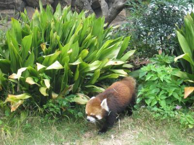 IMG_6953_convert_20120616111730.jpg