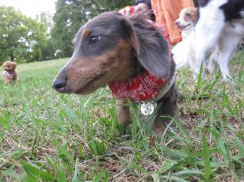 IMG_7438_convert_20120806132807.jpg