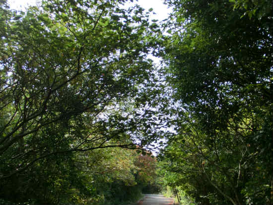 2012-10-31 003 030