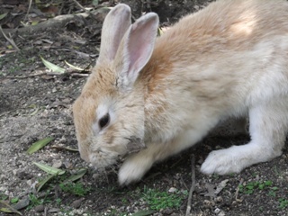 DSCF2974.jpg
