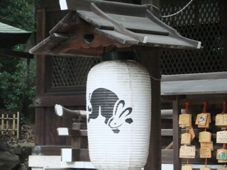 DSCF3542.jpg