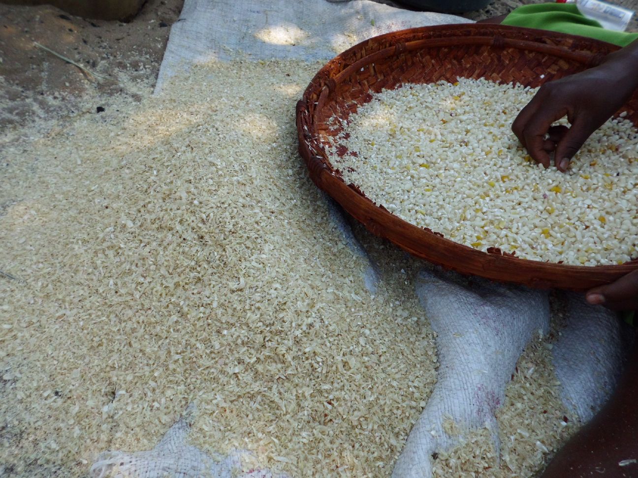 CIMG0229.jpg