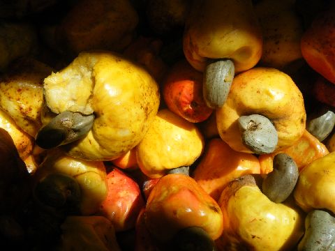 DSCF2371.jpg