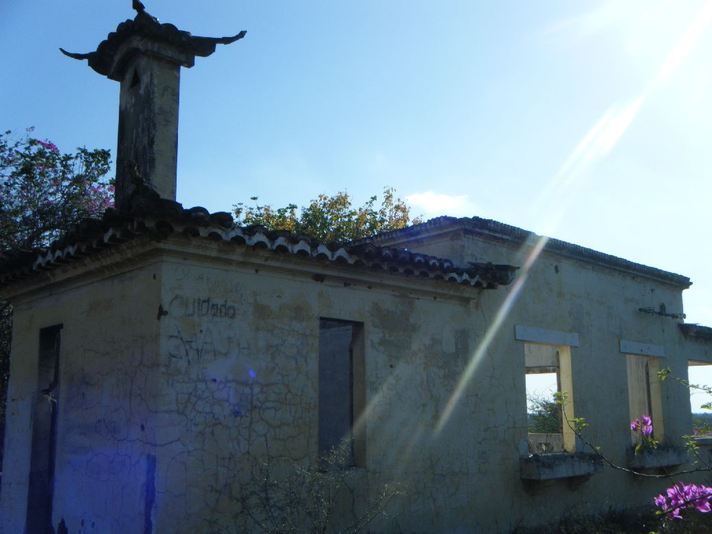 DSCF9049.jpg
