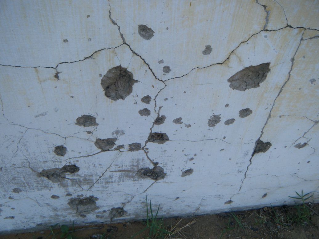 DSCF9052.jpg