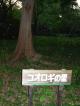 京都
