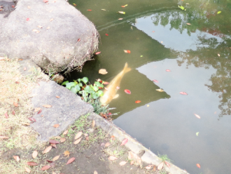 20140110812.png