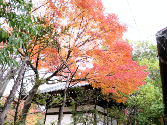 20140110821.png