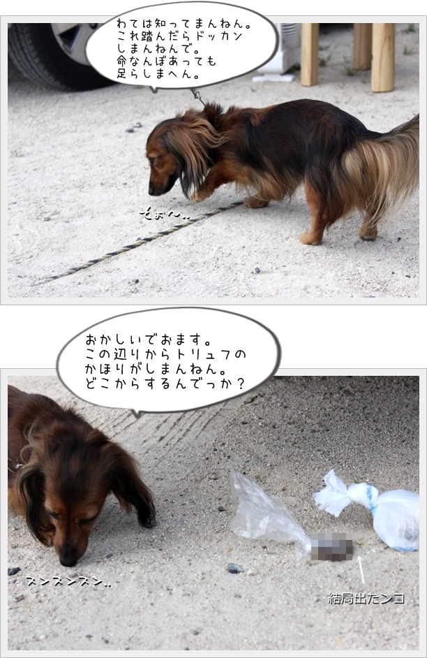 cats09