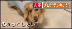 banner (86)