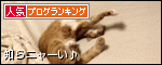 banner (89)