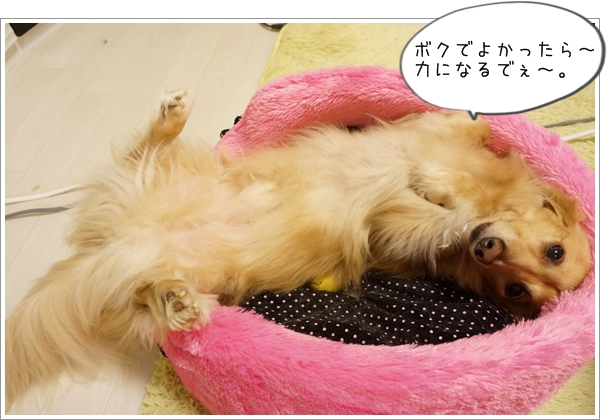 DSC012551.jpg