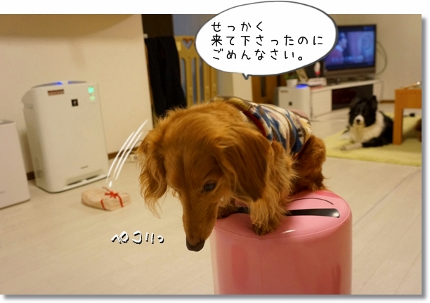 DSC020021.jpg