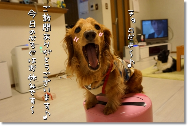DSC020071.jpg