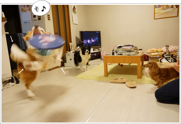 DSC030751.jpg