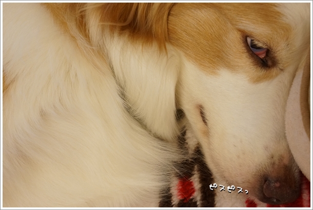 DSC032741.jpg