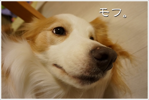 DSC036621.jpg