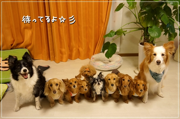 DSC047281.jpg