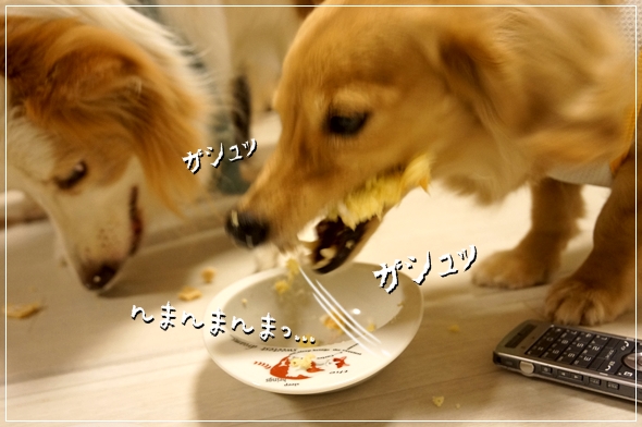 DSC047491.jpg