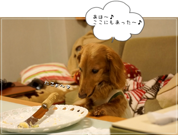 DSC048031.jpg