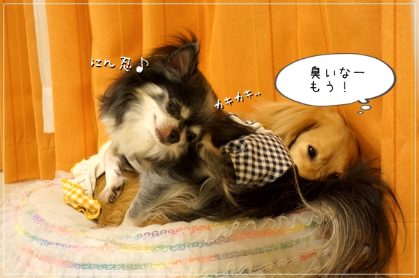 DSC053631.jpg