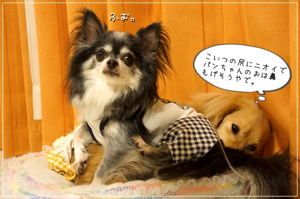 DSC053681.jpg