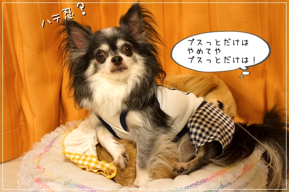DSC053701.jpg