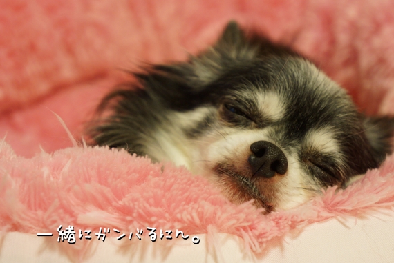 DSC065941.jpg