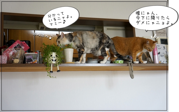 DSC066141.jpg
