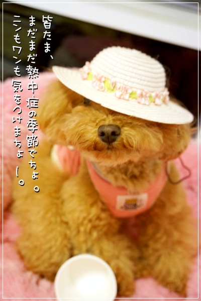 DSC068041.jpg