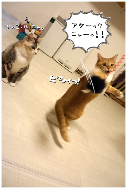 DSC070881.jpg