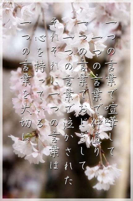 DSC091131.jpg