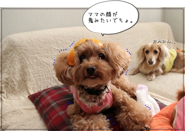 IMG_04871_20130104124341.jpg
