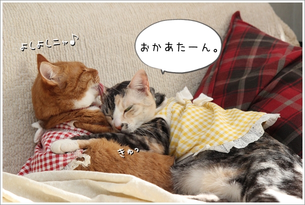 IMG_43891_20130112232418.jpg