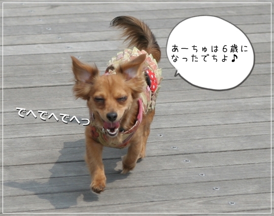 $10天ぶろぐ(てんてんぶろぐ)