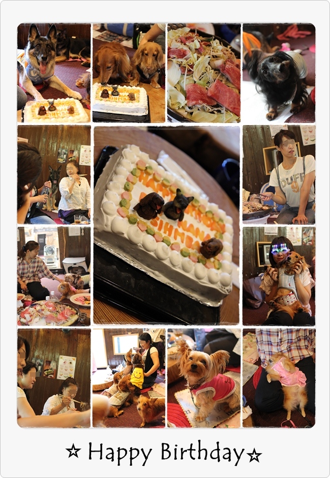 cats6781.jpg