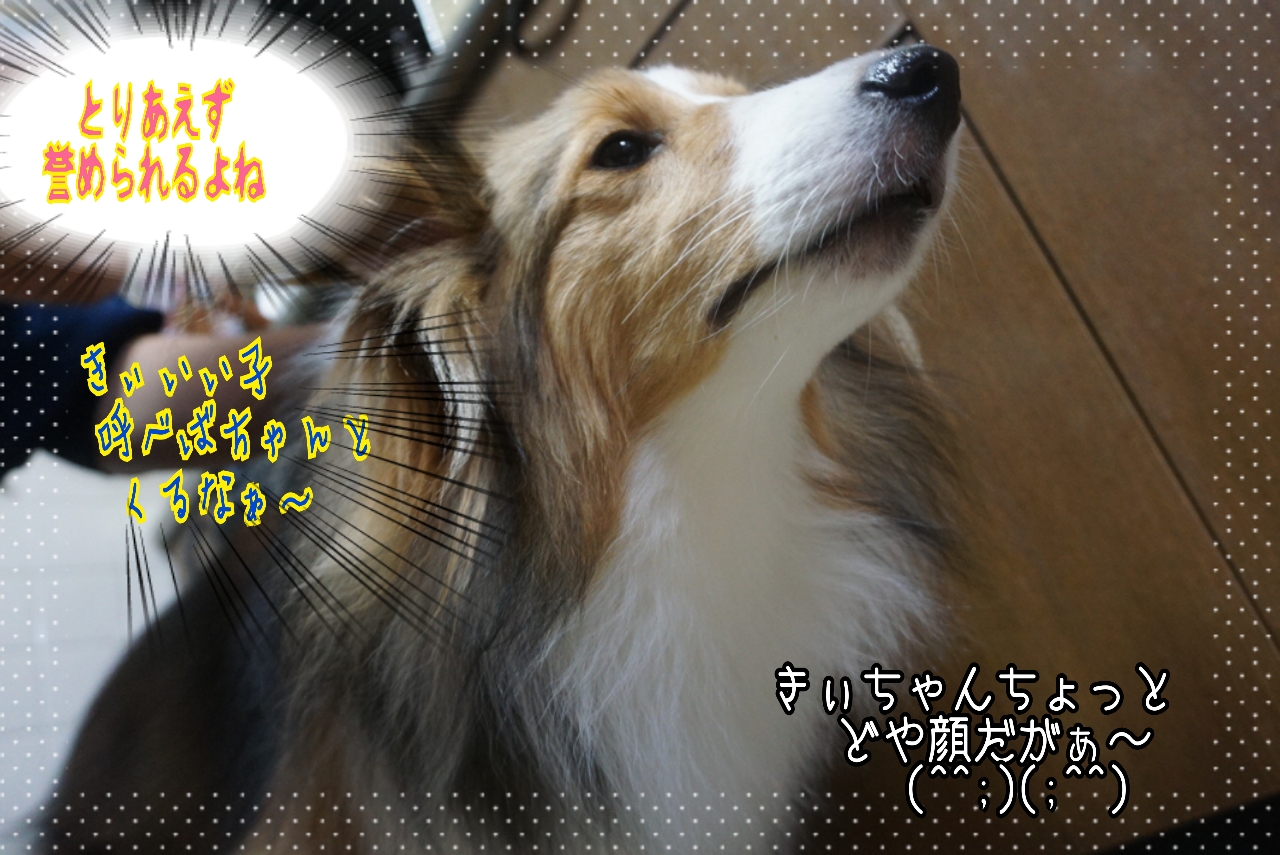 2014-10-21-01-32-26_deco.jpg