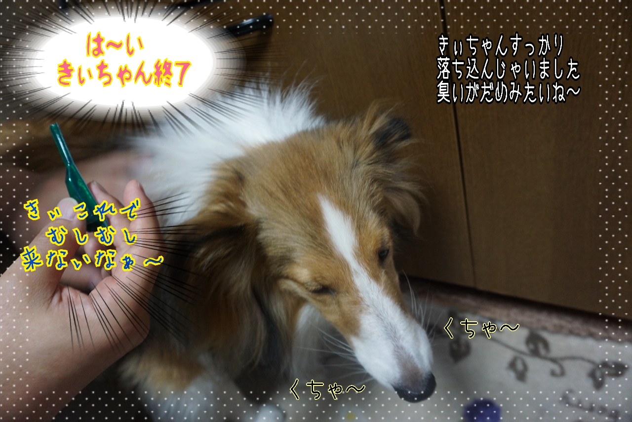2014-10-21-01-46-48_deco.jpg