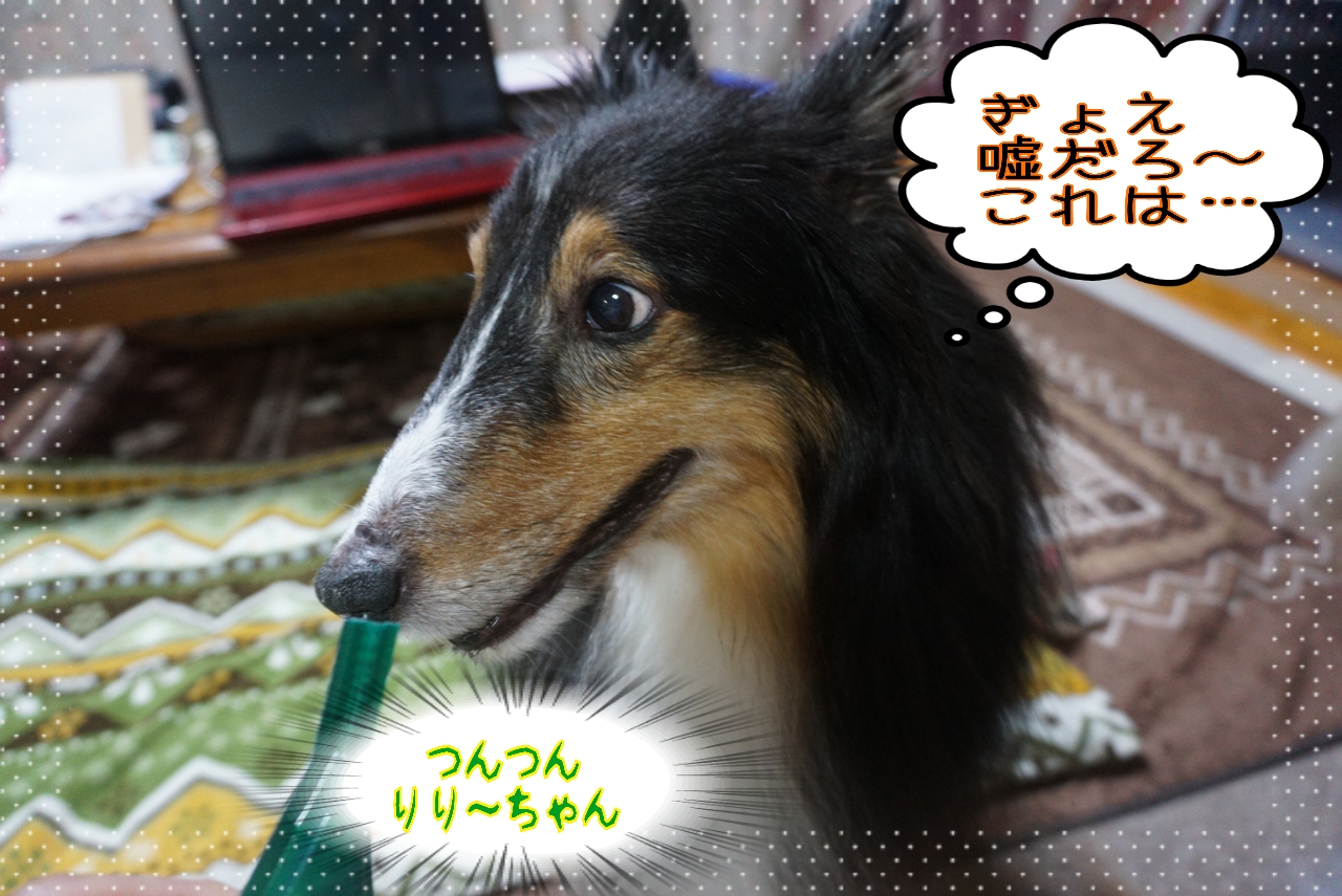 2014-10-21-02-29-05_deco.jpg