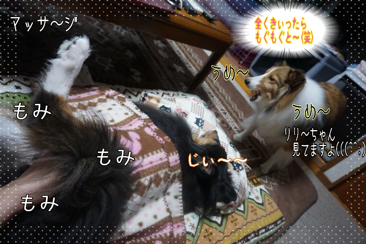 2014-10-21-07-55-03_deco.jpg