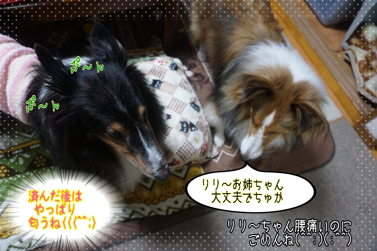2014-10-21-11-09-35_deco.jpg