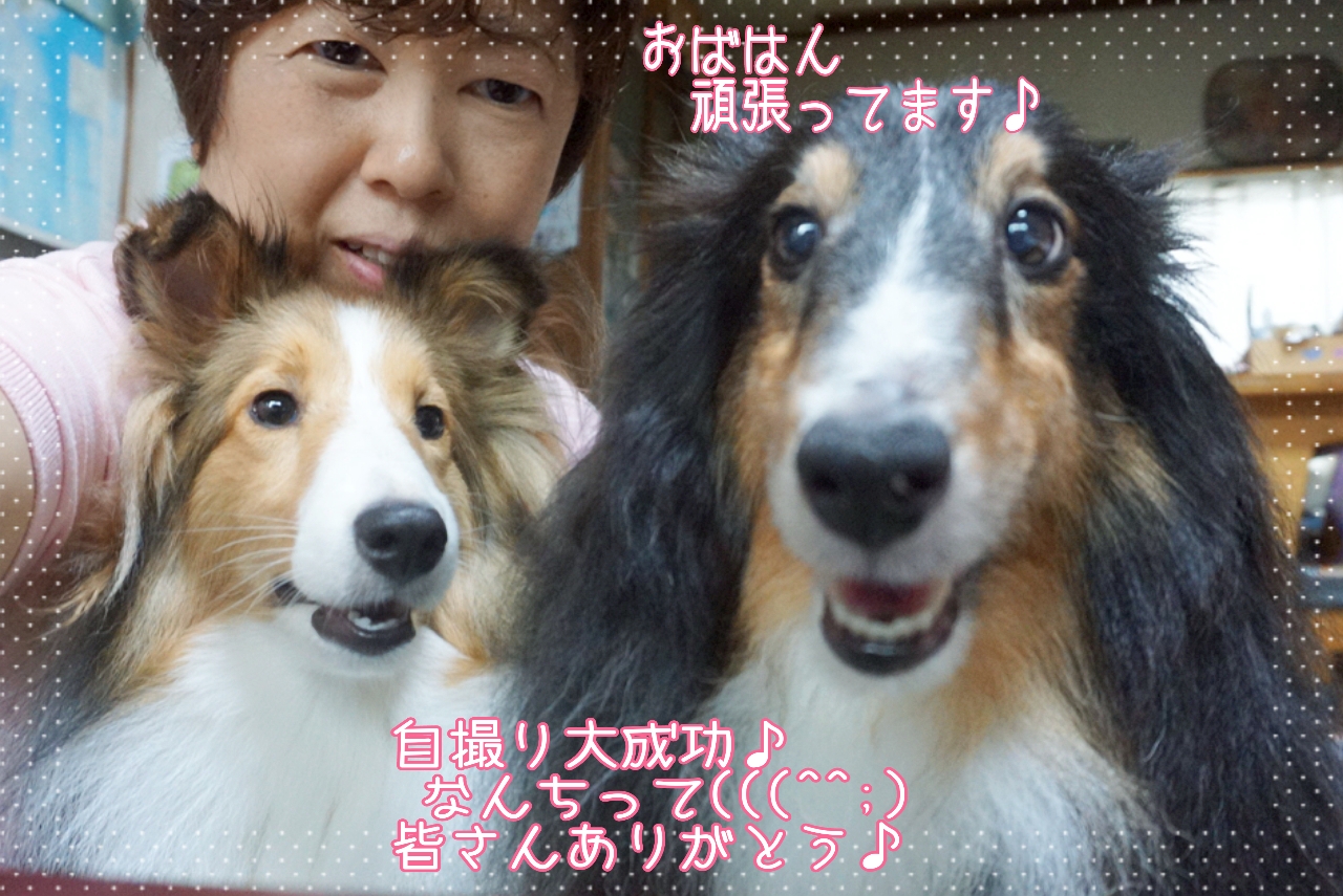 2014-10-21-23-25-19_deco.jpg